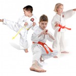 Optional Karate Gradinita